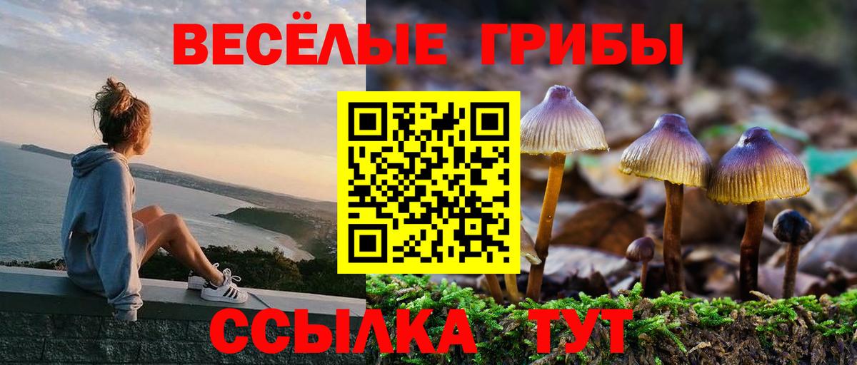 Троицк  Псилоцибиновые грибы мицелий  Вход с VPN  Псилоцибиновые грибы мухоморы 
