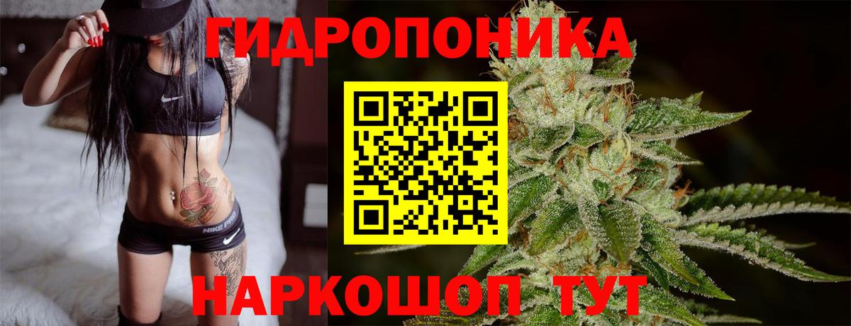 Бошки марихуана White Widow  Вход с VPN  Марихуана LSD WEED  Троицк  МАРИХУАНА марихуана  Канабис марихуана 